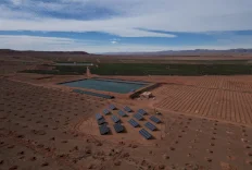 شركة النبالي والفارس تعلن إطلاق مشروعها الاستثماري الزراعي الجديد “تالا” 