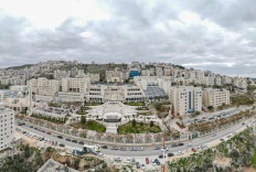 جامعة النجاح الوطنية تدخل نادي أفضل 50 جامعة عالميًا في تصنيف مؤسسة التايمز العالمية للاستدامة لعام 2026 وتتقدم إلى المرتبة 33 عالميًا