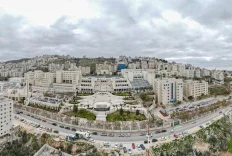 جامعة النجاح الوطنية تدخل نادي أفضل 50 جامعة عالميًا في تصنيف مؤسسة التايمز العالمية للاستدامة لعام 2026 وتتقدم إلى المرتبة 33 عالميًا