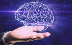 بعد قرن من الحيرة.. دراسة جديدة تعيد تعريف "مصدر الذكاء