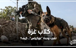 كلاب غزة تضرب وحدة "عوكيتس".. كيف؟