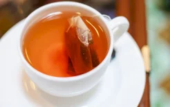 Tea or Matcha: Which is Better for Energy and Blood Sugar?