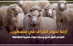 أزمة لحوم الخراف في فلسطين.. الملاحم تعلق الذبح وسط دعوات شعبية للمقاطعة