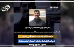 رئيس نقابة الملاحم: المواشي تُفحص في إسرائيل قبل دخولها السوق الفلسطينية فنحن "حاكورة واحدة"