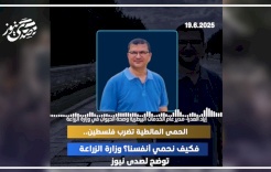 الحمى المالطية تضرب فلسطين.. فكيف نحمي أنفسنا؟ وزارة الزراعة توضح لصدى نيوز