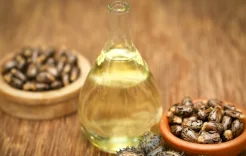 استخدمته كليوباترا لتفتيح بياض عينيها... ما الفوائد الصحية لزيت الخروع؟