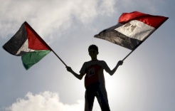 Egypt: The Extreme Policies of the Occupation Government are the Main Factor for Instability in the Region