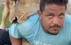 تجميد أموال وممتلكات شخص قام بترويع عامل مصري بأسد