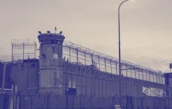 32 Prisoners Executed in 2025 Inside Occupation Prisons