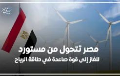 مصر تتحول من مستورد للغاز إلى قوة صاعدة في طاقة الرياح
