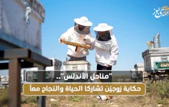 مناحل الأندلس".. حكاية زوجيّن تشاركا الحياة والنجاح معاً