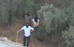 Report: The Occupation Government Employs Colonizer Terrorism to Implement Displacement Plans