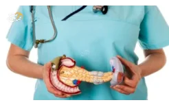 حاول الابتعاد عن 3 عادات شائعة تُسبب شيخوخة البنكرياس