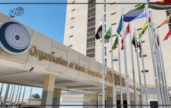 منظمة التعاون الإسلامي ترحب بتقرير المقررة الخاصة لحقوق الإنسان وتؤكد خطورة نتائجه وتطالب بتنفيذ التوصيات