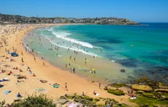 لماذا تكررت هجمات القرش بشواطئ أستراليا؟