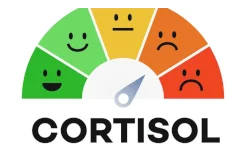 "كذبة" الكورتيزول تجتاح مواقع التواصل.. وتتصدر الترند