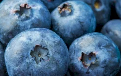 تتفوق على التوت الأزرق... 11 طعاماً غنياً بمضادات الأكسدة