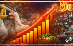 رمضان بجيوب فارغة.. سعر الدجاج في الضفة يساوي تل أبيب رغم تفاوت الدخل