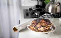 البديل الأخضر للبلاستيك.. ابتكار غشاء قابل للتحلل يحافظ على جودة الطعام