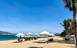 العصر الذهبي لفيتنام.. لماذا تزدهر سياحتها بينما يعاني جيرانها؟