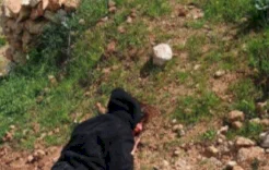 إصابة متضامنين أجنبيين في هجوم للمستعمرين على قصرة جنوب نابلس