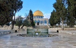 الاحتلال يواصل إغلاق المسجد الأقصى لليوم الـ16