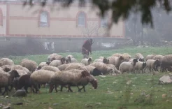 جنوب سوريا بين قيود الاحتلال وترقّب موسم لا يُجنى