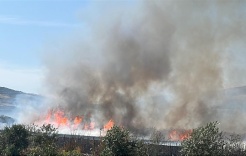 Des colons incendiant des terres agricoles au sud de Naplouse