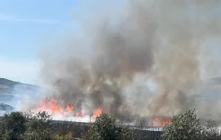 מתיישבים שורפים שטחים חקלאיים בדרום NABLUS