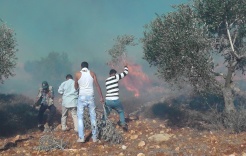 הכיבוש שורף עשרות עצי זית בכפר דיר קדיס غرب רמאללה