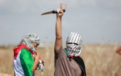 احنا شبابك فلسطين 