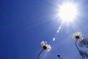 الطقس: انخفاض على درجات الحرارة 