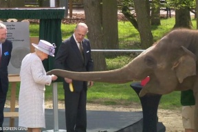 كيف أدخلت الملكة إليزابيث السرور إلى أنثى فيل
