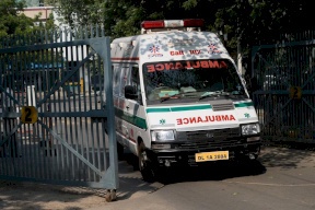 سيارات إسعاف للحيوان المقدس في الهند