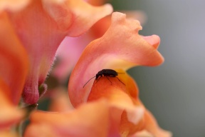 حالة الطقس: ارتفاع على درجات الحرارة