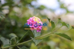 حالة الطقس: الحرارة أعلى من معدلها العام بحدود 12 درجة