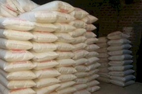 ضبط 14 طن أرز منتهي الصلاحية في طولكرم