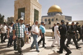 جولات استفزازية جديدة للمستوطنين داخل الاقصى 