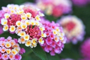 انخفاض طفيف على درجات الحرارة اليوم