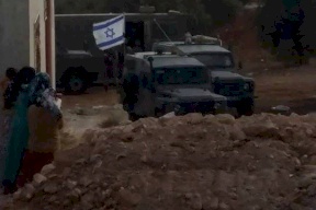 الاحتلال يعتقل مواطنة في الخليل 