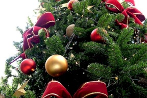 إضاءة شجرة الميلاد بالقدس