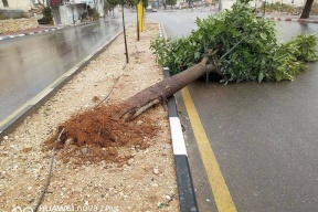 متى يشتد المنخفض الحالي ؟؟