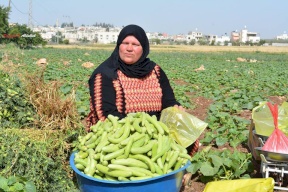 تعويضات للمزارعين