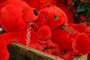 ما علاقة "الدب الاحمر" بالفالنتاين؟