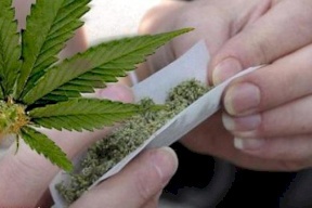 ضبط 3 مشاتل للمخدرات في بيت لحم