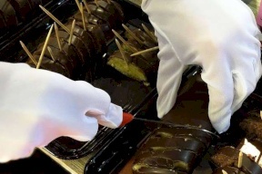 هذا هو العدو رقم 1 للإنسان!