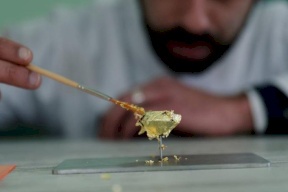 هذه أغلى قطعة شوكولاتة بالعالم.. كم سعرها؟