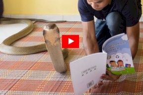 شاهد/ نهاية مأساوية لأشهر صائد ثعابين