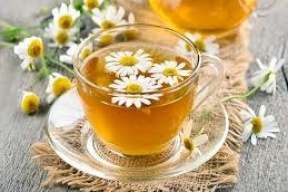أزهار البابونج.. شفاء للجسد والروح أيضاً