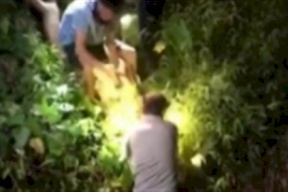 فيديو: لحظة إخراج كلب من جوف أناكوندا عملاقة
